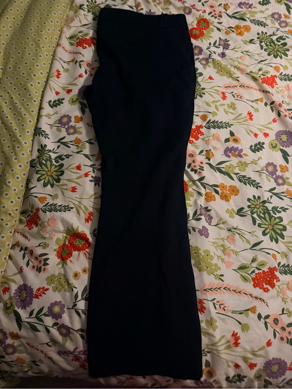 Classic Black Dress Pants 22T